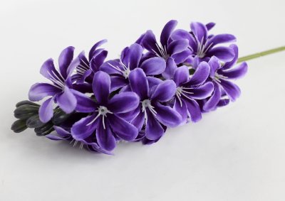 В12004 Гиацинт голландский крупный 52см(5шт)