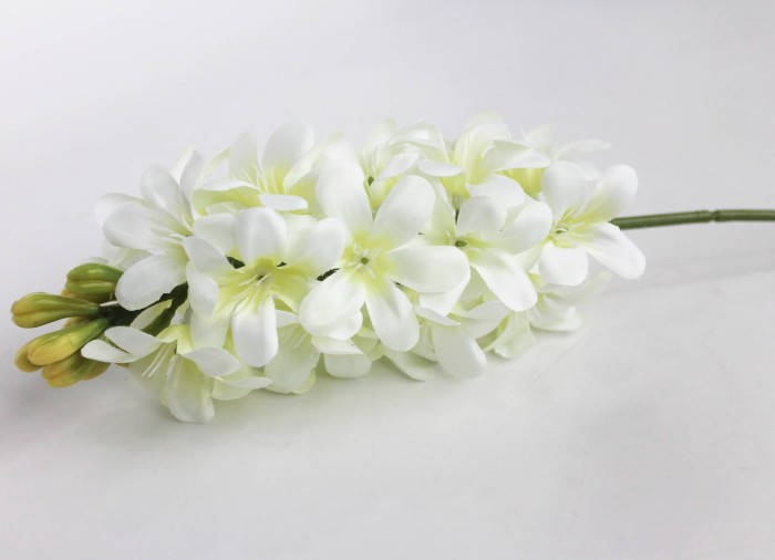 В12004 Гиацинт голландский крупный 52см(5шт)