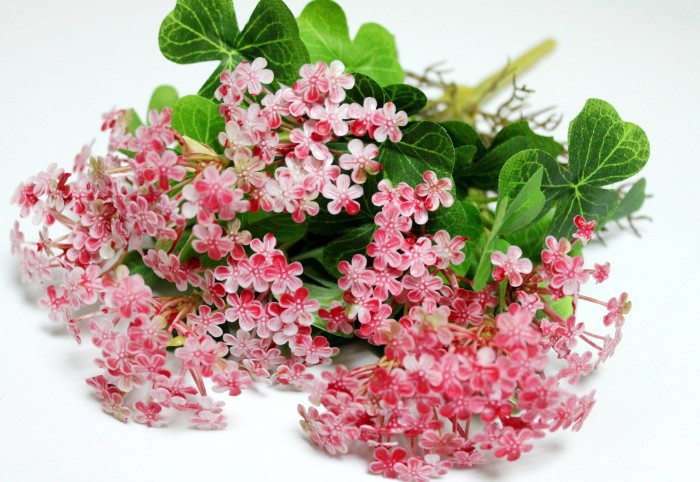 Б12265 Б/С Горшечная Пеларгония Анита с корнями 31см(20шт)