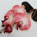 В11500 Орхидея с корешками из латекса"Интрига"Н38см