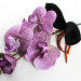 В11500 Орхидея с корешками из латекса"Интрига"Н38см