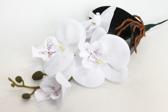 В11500 Б/С Орхидея с корешками из латекса"Интрига"Н38см