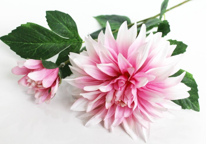 В11493 Б/С Георгин по цветам 2 объемных больших головы"Перфекшн"Н65см(9шт)