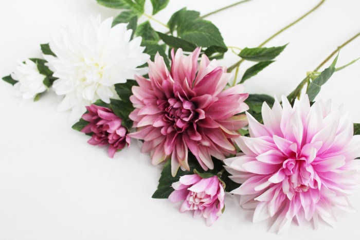 В11493 Б/С Георгин по цветам 2 объемных больших головы"Перфекшн"Н65см(9шт)