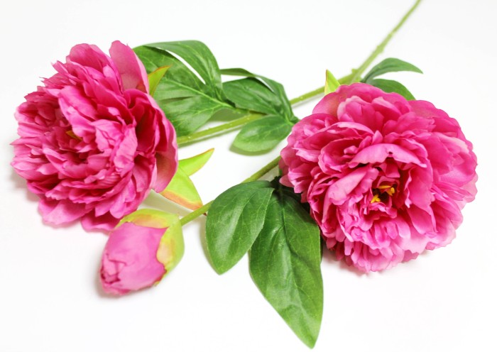 В12262 Б/С Ветка пиона "Петер Бранд"2гол. и бут.70см