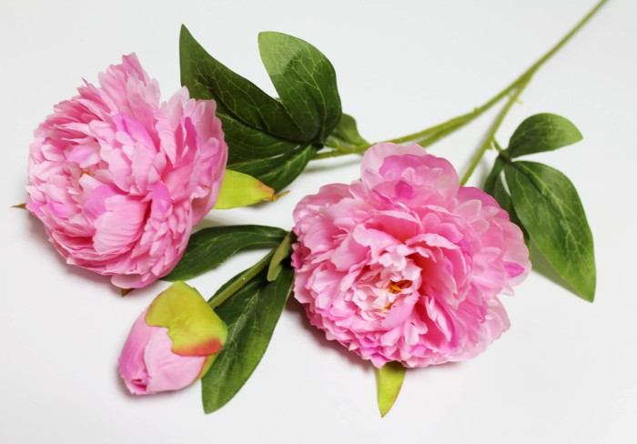 В12262 Б/С Ветка пиона "Петер Бранд"2гол. и бут.70см