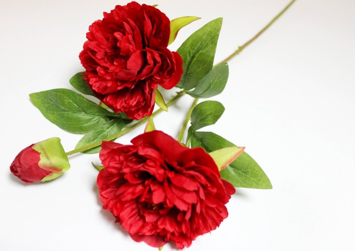 В12262 Б/С Ветка пиона "Петер Бранд"2гол. и бут.70см