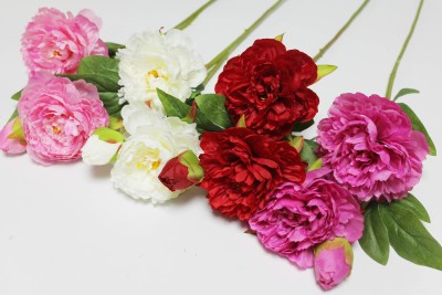 В12262 Б/С Ветка пиона "Петер Бранд"2гол. и бут.70см