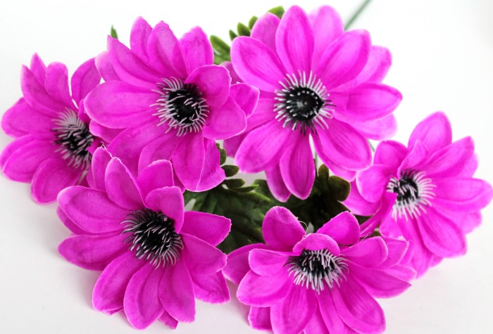 Б11996 Букет георгин"Зайчик"6г.47см(20микс)