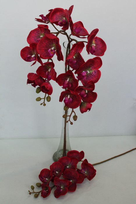 В10704 Б/С Орхид.коллекцион.Элегант Бьюти 8 крупн.г.Н102см(2шт)