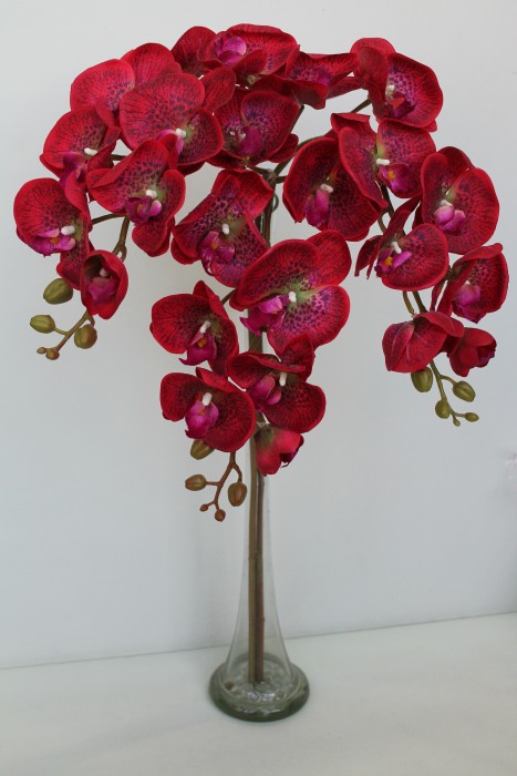 В10704 Б/С Орхид.коллекцион.Элегант Бьюти 8 крупн.г.Н102см(2шт)