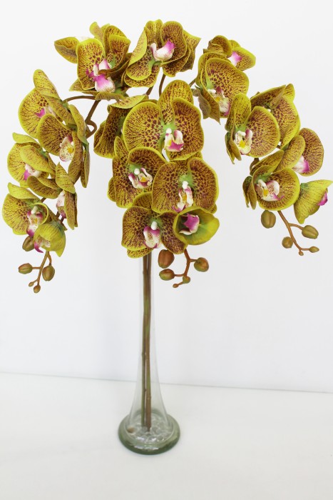 В10704 Б/С Орхид.коллекцион.Элегант Бьюти 8 крупн.г.Н102см(2шт)