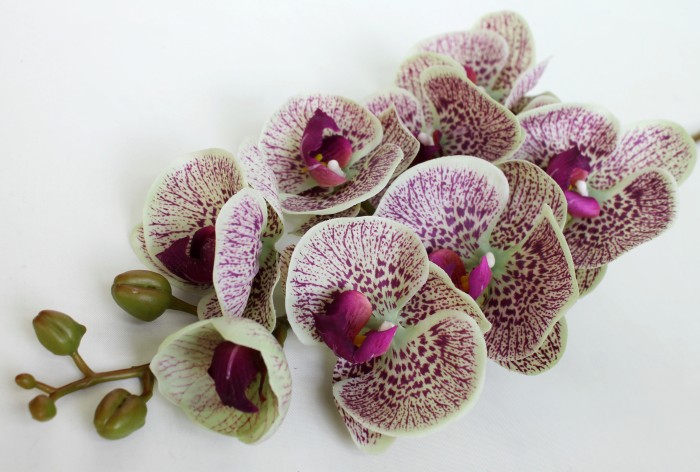 В10704 Б/С Орхид.коллекцион.Элегант Бьюти 8 крупн.г.Н102см(2шт)