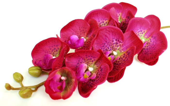 В10704 Б/С Орхид.коллекцион.Элегант Бьюти 8 крупн.г.Н102см(2шт)