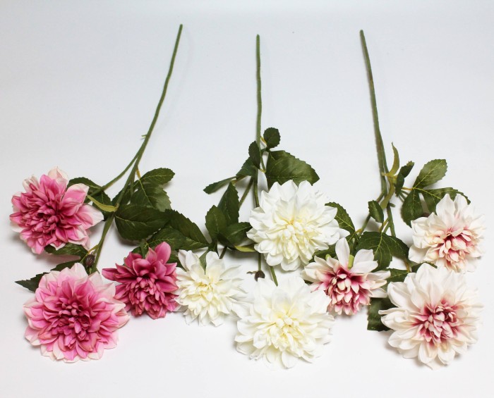 В12128 Б/С Георгин флористический 3гол."Эвелин"Н71см(5шт)