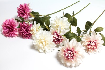 В12128 Б/С Георгин флористический 3гол.&quot;Эвелин&quot;Н71см(5шт)