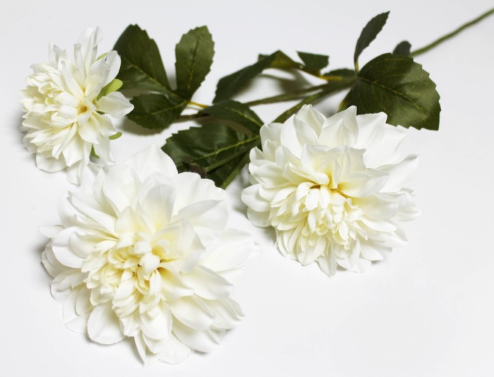 В12128 Б/С Георгин флористический 3гол."Эвелин"Н71см(5шт)