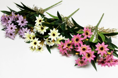 Б12284 Б/С Маргаритка африканская горшечн.с корнями 34см(2шт)