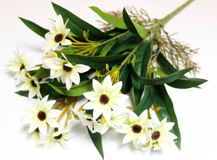 Б12284 Б/С Маргаритка африканская горшечн.с корнями 34см(2шт)