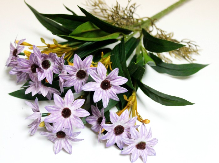 Б12284 Б/С Маргаритка африканская горшечн.с корнями 34см(2шт)