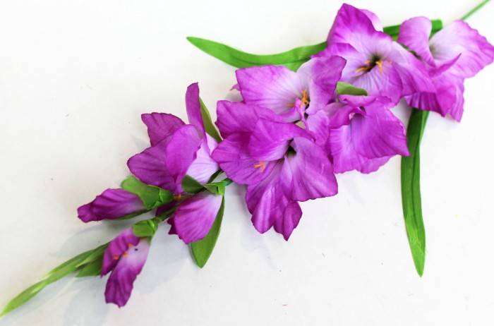 О540 Б/С Гладиолус Чжунь Янь Н80см(10шт)