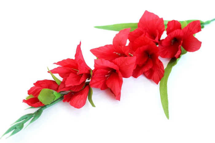 О540 Б/С Гладиолус Чжунь Янь Н80см(10шт)