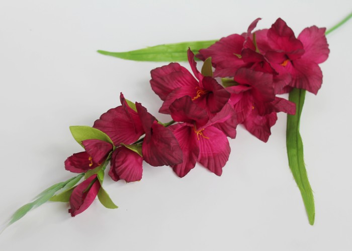 О540 Б/С Гладиолус Чжунь Янь Н80см(10шт)