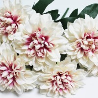 Бело-розовый