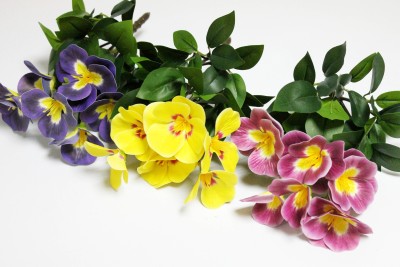 Б12278 Б/С Глоксиния флористическая горшечная 20см(2шт)