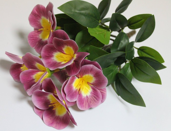 Б12278 Б/С Глоксиния флористическая горшечная 20см(2шт)