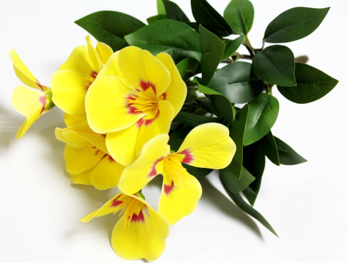 Б12278 Б/С Глоксиния флористическая горшечная 20см(2шт)