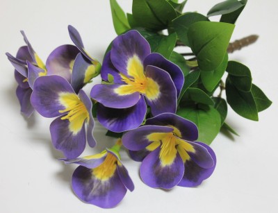 Б12278 Б/С Глоксиния флористическая горшечная 20см(2шт)