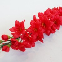 Красный