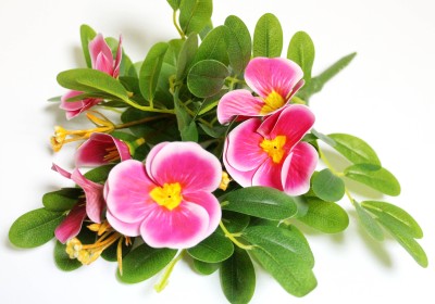 Б12279 Б/С Азалия японская горшечная 27см(2шт)