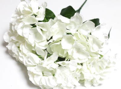 Б11781 Букет 2 цвета гортензии 5 вет."Патриот"48см