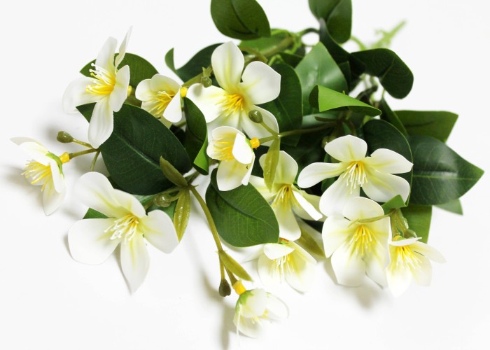 Б12266 Б/С Горшечный Бальзамин с корешком 33см(2шт)