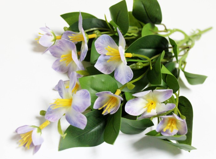 Б12266 Б/С Горшечный Бальзамин с корешком 33см(2шт)