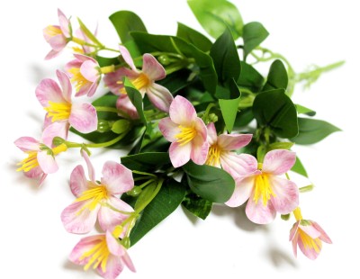 Б12266 Б/С Горшечный Бальзамин с корешком 33см(2шт)