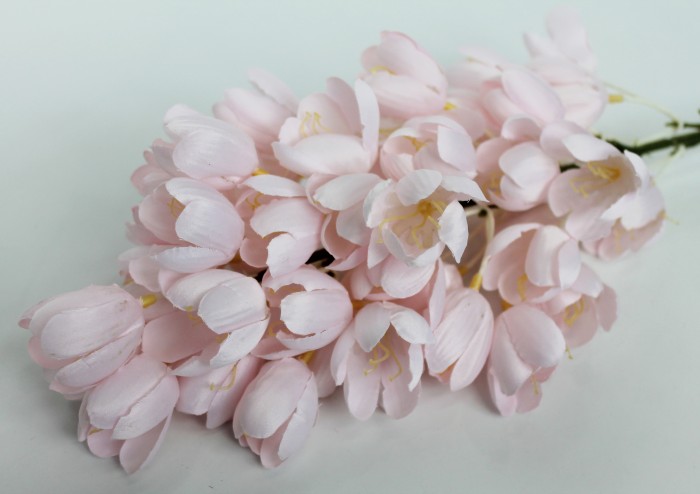 В11520 Б/С Гиацинтоидес испанский многцветковый Н88см