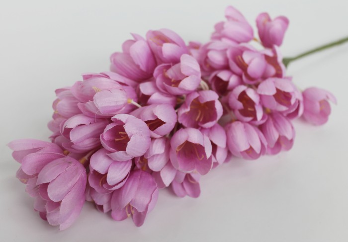 В11520 Б/С Гиацинтоидес испанский многцветковый Н88см