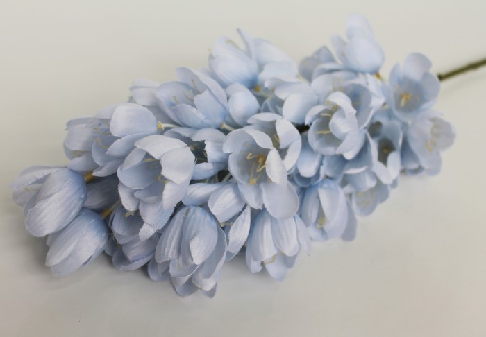 В11520 Б/С Гиацинтоидес испанский многцветковый Н88см