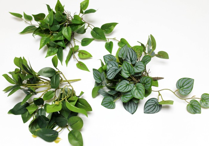 Б12283 Б/С Куст горшечный с корнями свисающий в ассорт.25см(2шт) 