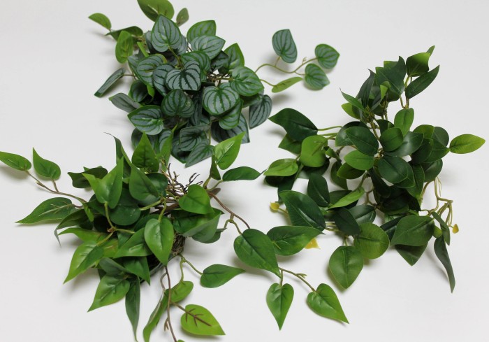 Б12283 Б/С Куст горшечный с корнями свисающий в ассорт.25см(2шт) 