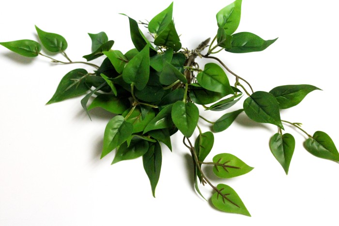 Б12283 Б/С Куст горшечный с корнями свисающий в ассорт.25см(2шт) 