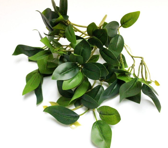 Б12283 Б/С Куст горшечный с корнями свисающий в ассорт.25см(2шт) 