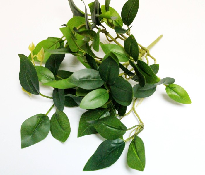 Б12283 Б/С Куст горшечный с корнями свисающий в ассорт.25см(2шт) 