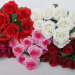 Б11597 Букет роз"Гармония"10гол.H46см(10микс)
