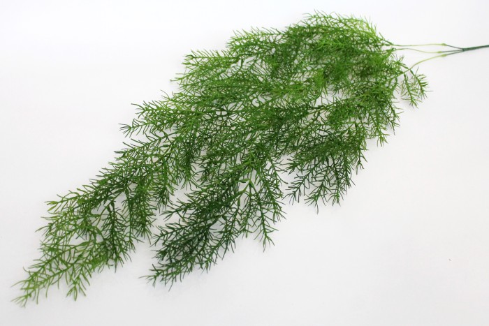 В11706 Б/С Аспарагус Мейера ампельный Н100см (4шт)