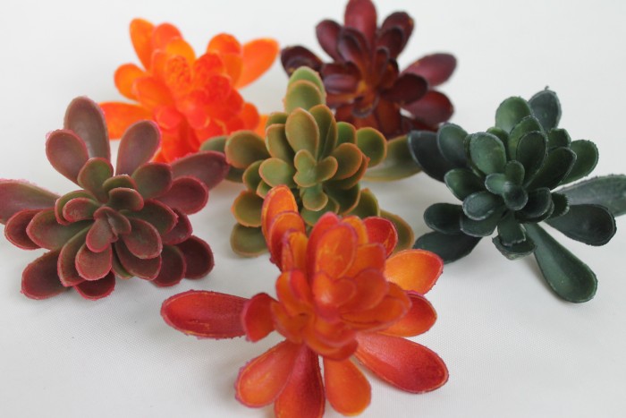 Э11316 Б/С Суккулент d=9см(6микс)