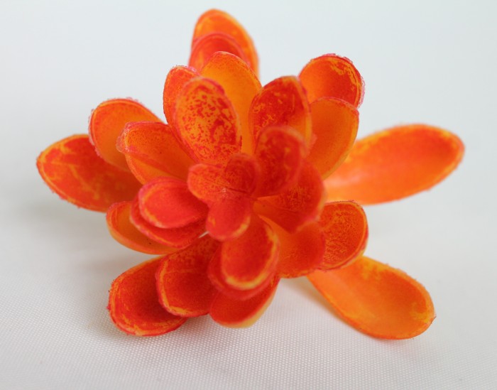 Э11316 Б/С Суккулент d=9см(6микс)